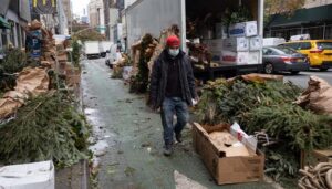 Nueva York recoge miles de árboles de navidad abandonados en las calles FOTO: FUENTE EXTERNA
