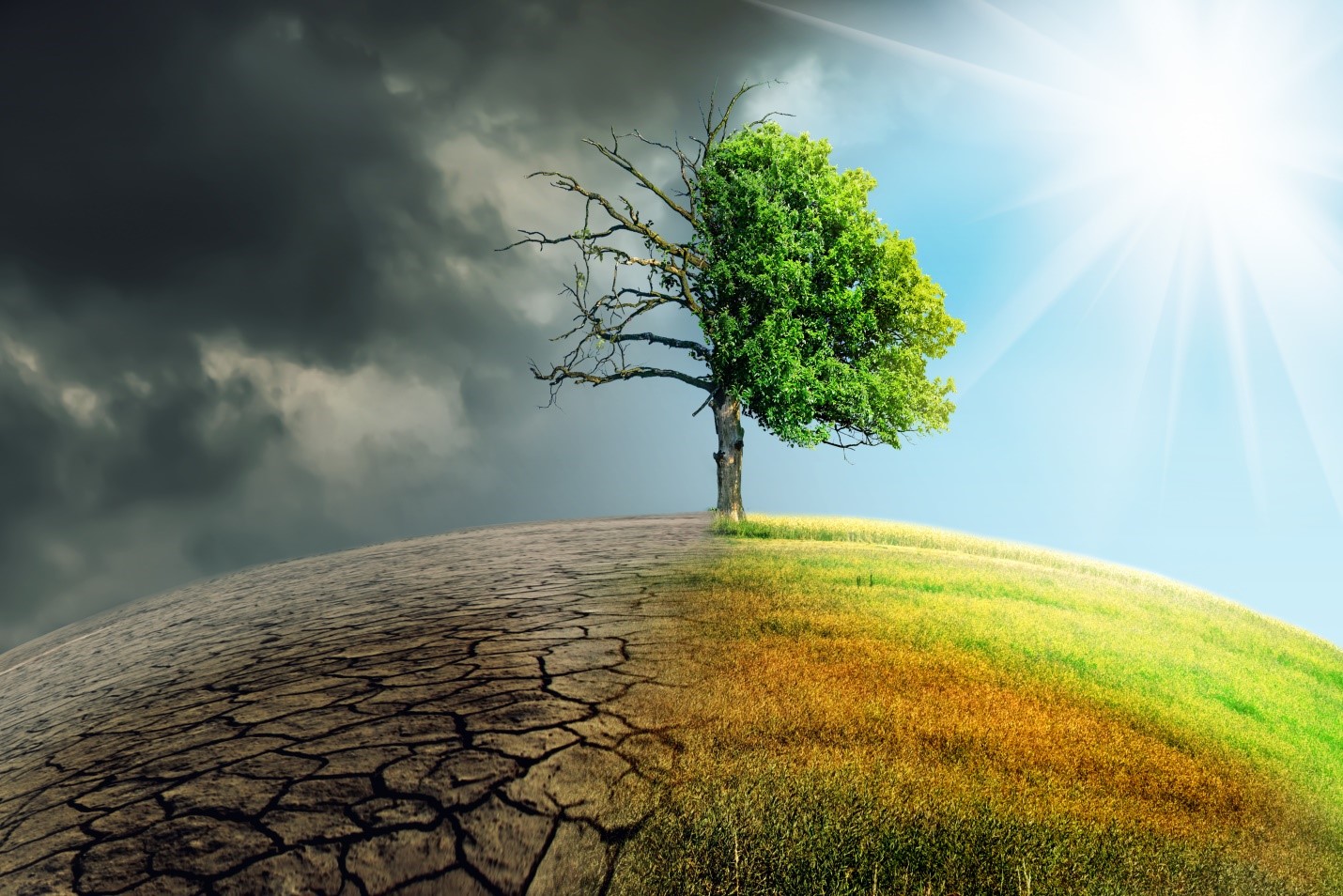 Imagen ilustrativa del cambio climático. Fuente: Shutterstock