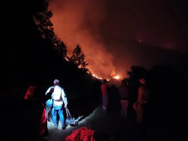 Imponen garantía económica a hombre que provocó incendio en Valle Nuevo