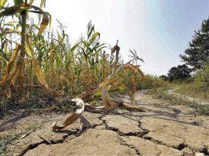 ONG urgen al Estado de El Salvador plan para el fenómeno de El Niño y el cambio climático