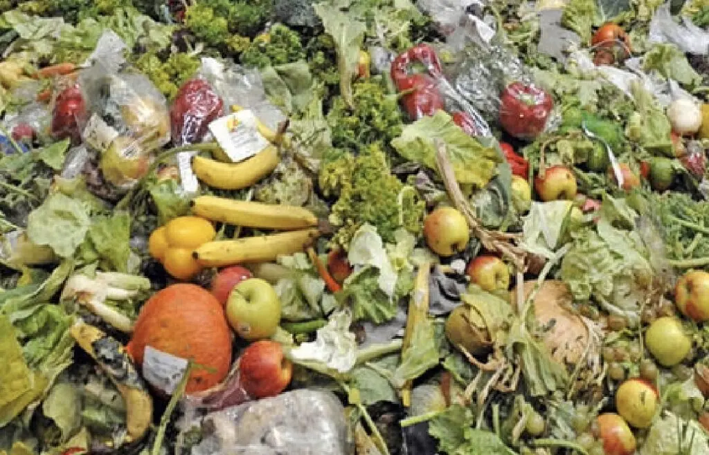 FAO: desperdicio de alimentos genera pérdidas mundiales
