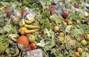 FAO: desperdicio de alimentos genera pérdidas mundiales