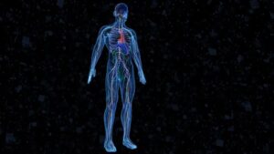 Por qué el nervio vago sería clave para tratar diferentes enfermedades