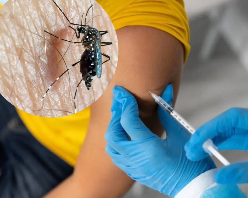 La vacuna contra el dengue "Qdenga" aprobada por la OMS