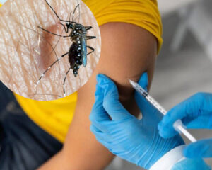 La vacuna contra el dengue 