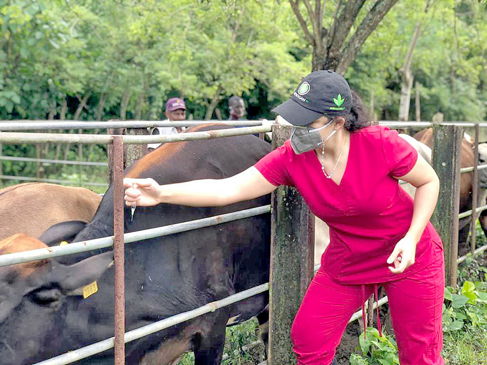 En Vigilancia Y Acción: Laboratorio Veterinario Rotege La Salud Animal ...