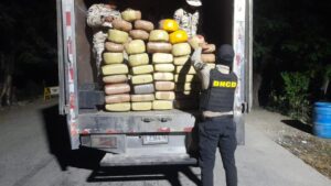 Incautan 368 libras de marihuana  en carga de naranjas en Elias Piña