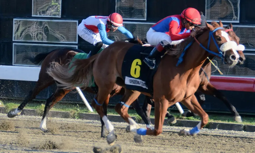 Se establece récord apostado en el Hipódromo Quinto Centenario