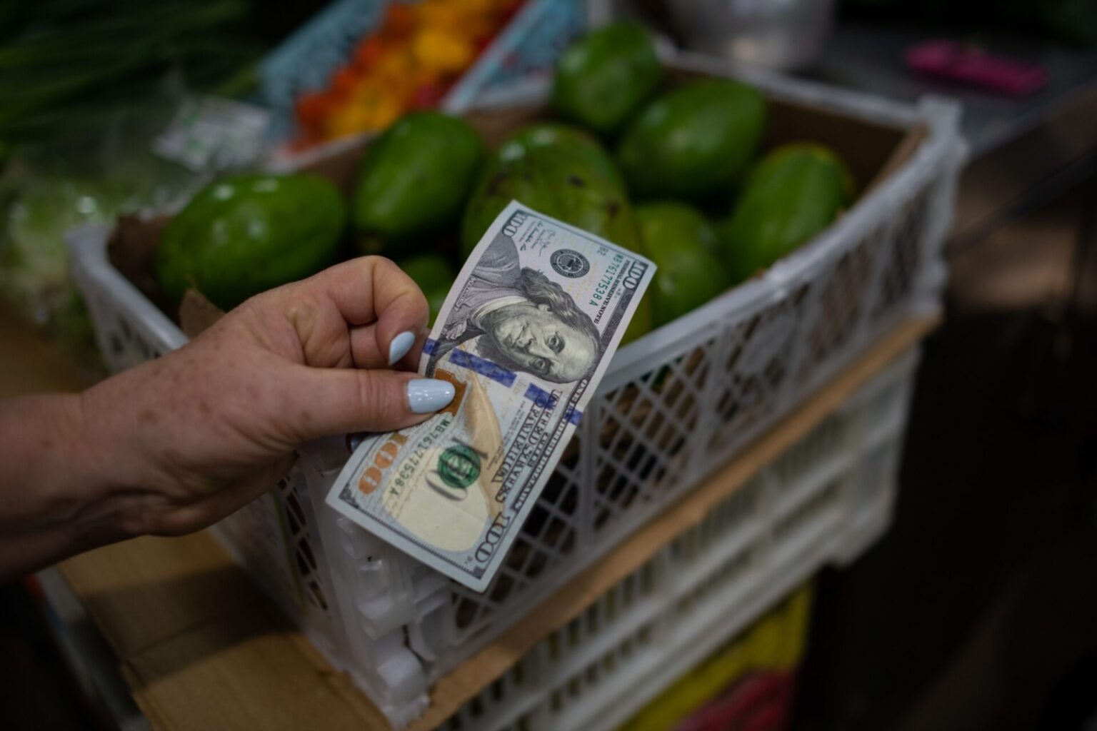 Precio Dólar Paralelo y Dólar BCV en Venezuela 12 de febrero de 2024