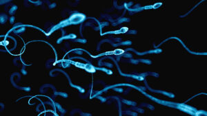 Uno de los factores que influye en los problemas de infertilidad puede ser la capacidad de movimiento de los espermatozoides
