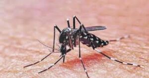 Brote de dengue en Argentina alcanza al menos 161 fallecidos y récord de contagios