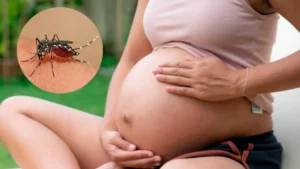 Cuáles son los riesgos de contraer dengue en el embarazo