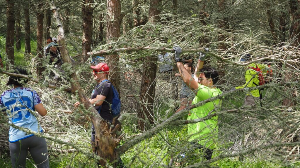 Día Mundial del Medio Ambiente_ Serra de Tramuntana