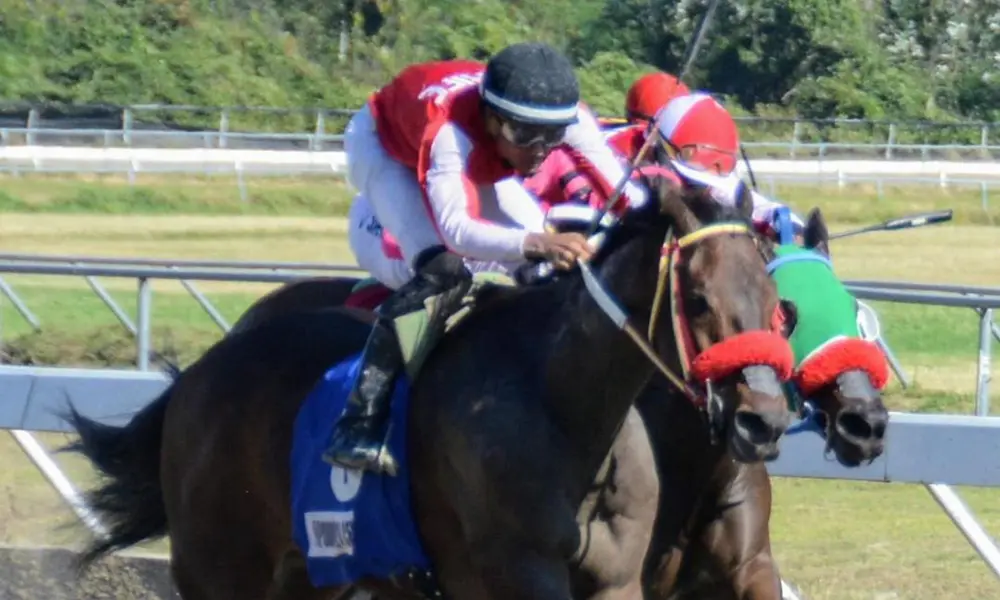 Celebrarán hoy cartelera hípica en el Hipódromo Quinto Centenario