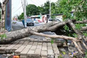 Jamaica en fotos tras paso del huracán Beryl que deja dos muertos 14 ywAAAAAAQABAAACAUwAOw==