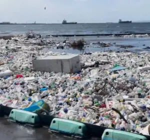 Jamaica en fotos tras paso del huracán Beryl que deja dos muertos 4 ywAAAAAAQABAAACAUwAOw==