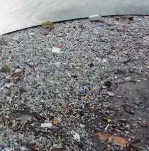 Jamaica en fotos tras paso del huracán Beryl que deja dos muertos 12 ywAAAAAAQABAAACAUwAOw==