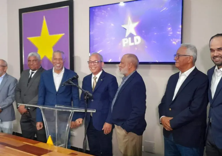 PLD propone medidas urgentes ante crisis eléctrica