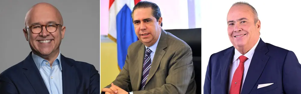 PLD aún no decide método de elección anticipada