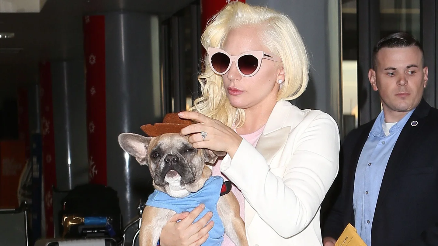 Lady Gaga y Animales