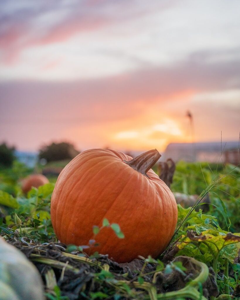 Otoño 