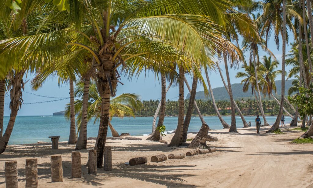 Las terrenas experience