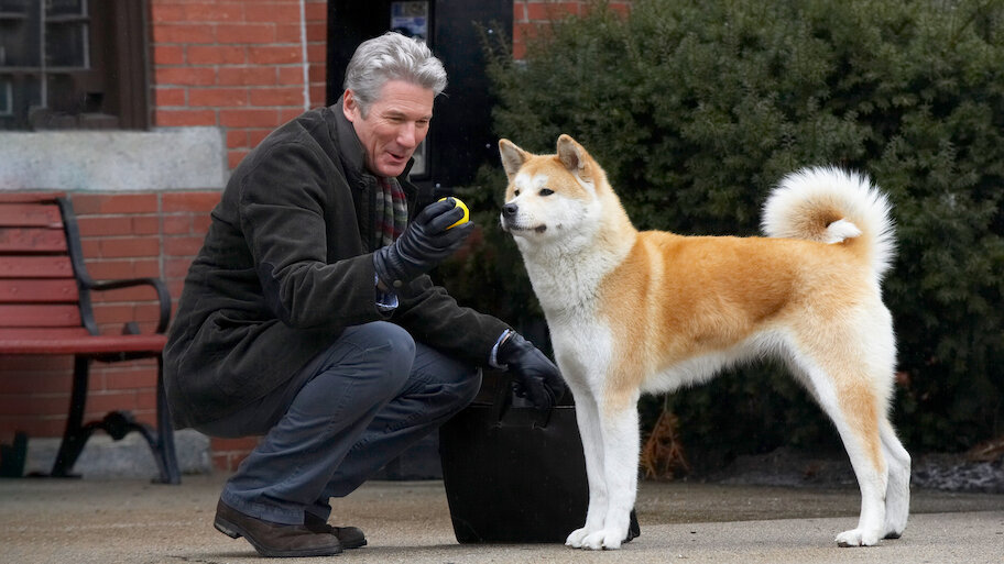 Películas de perro