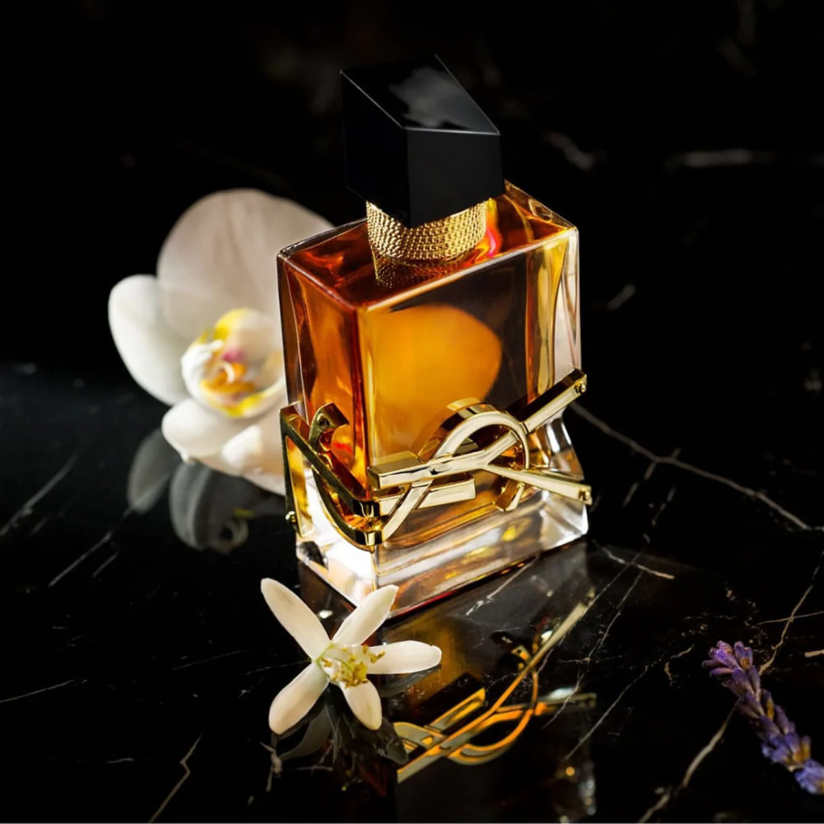 Perfumes para regalar