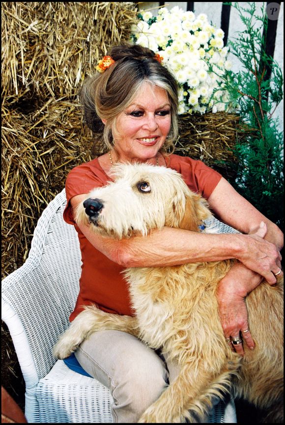 Brigitte Bardot