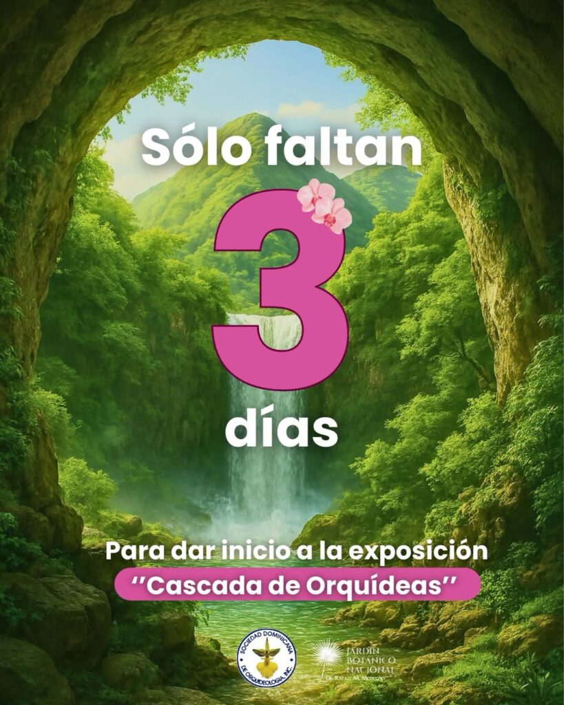 Actividades de Marzo