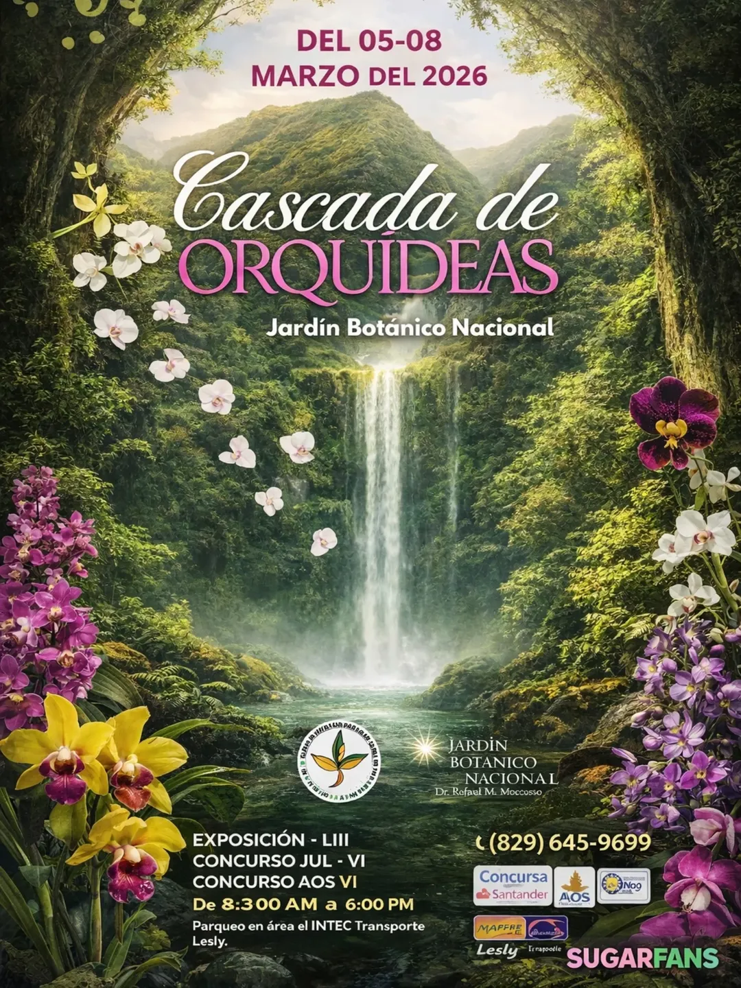 Actividades de Marzo