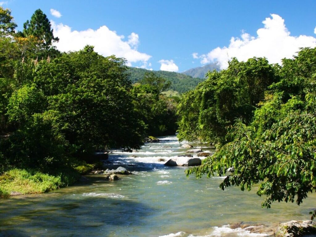 proteger la vida silvestre