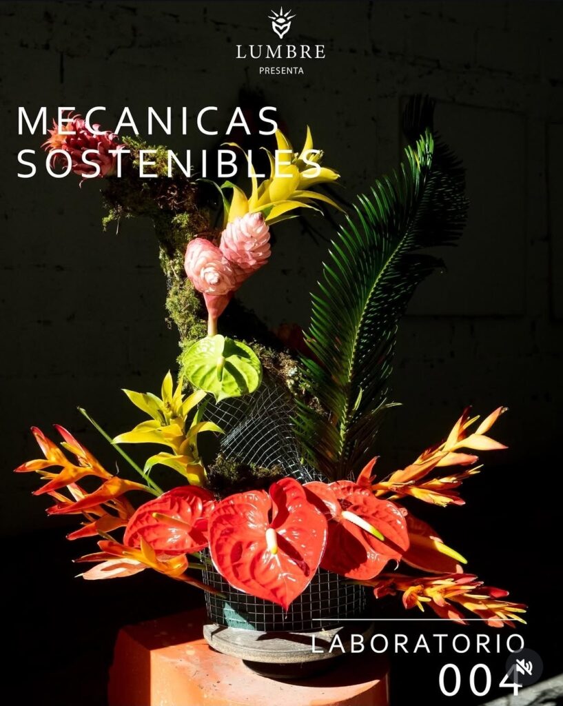 experiencias de arte en Santo Domingo