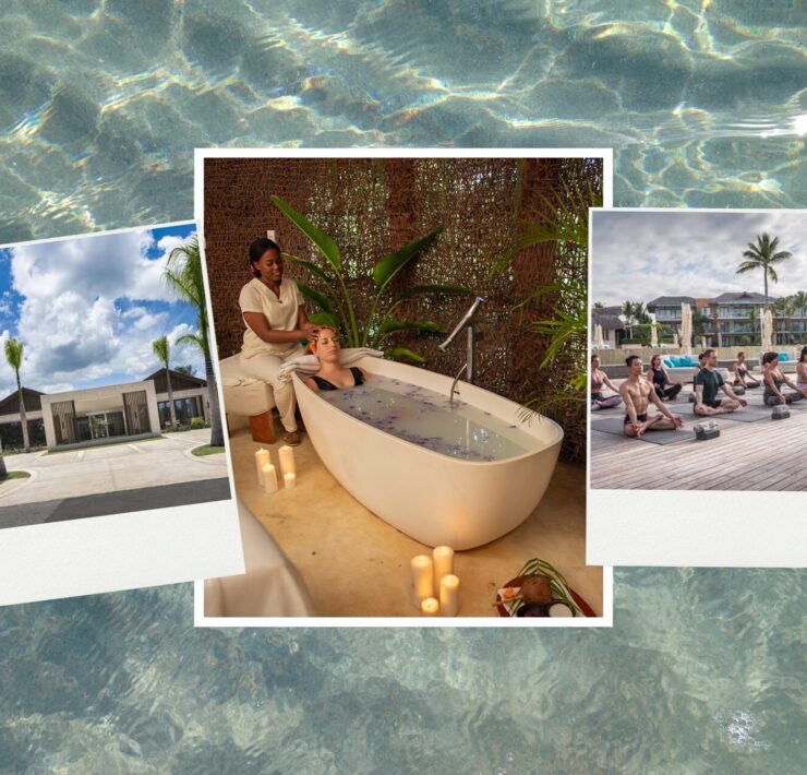 Wellness