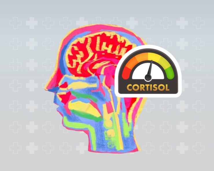 Cortisol