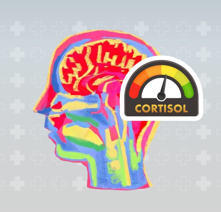 Cortisol