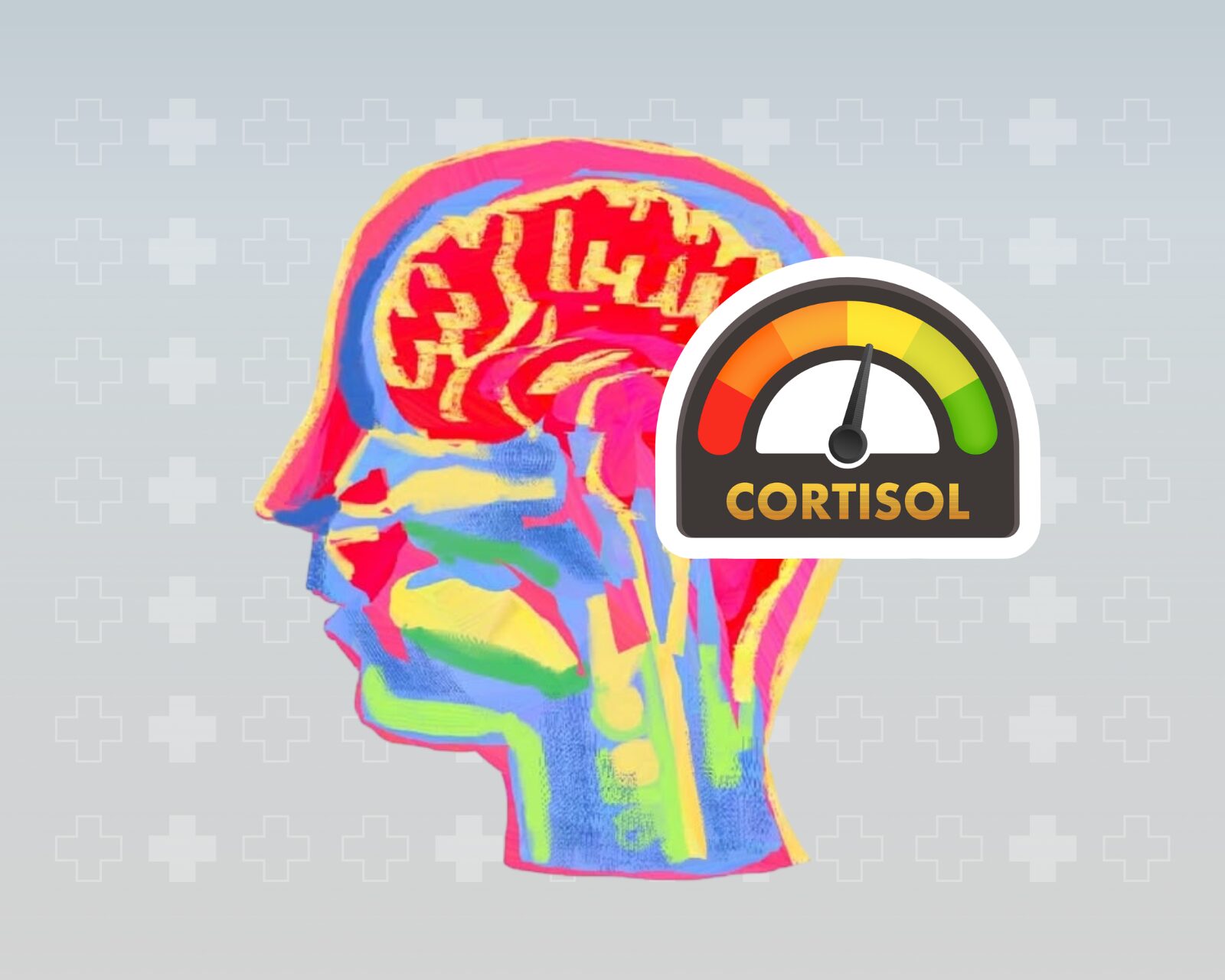 Cortisol